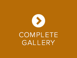 Aluminum/Vinyl | Complete Gallery